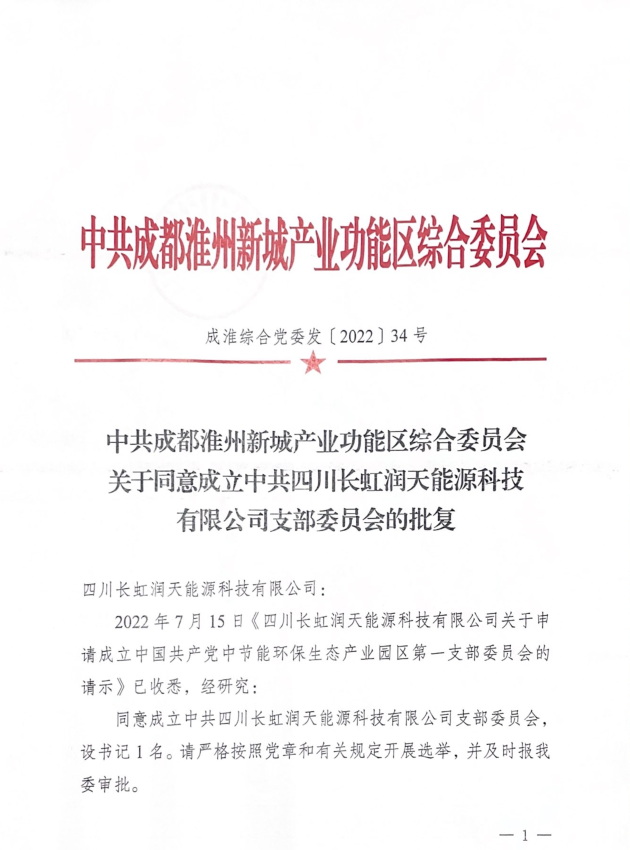 关于同意成立中共四川大阳城集团润天能源科技有限公司支部委员会的批复
